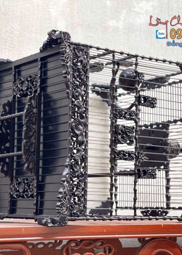 Lồng Chim Chào Mào Phom Vuông Đấu – Tích Nho Sóc 11 1 2 min 1 scaled