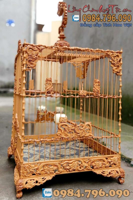 LỒNG CHIM CHÀO MÀO PHOM VUÔNG CAO – TÍCH NGŨ LONG TRANH CHÂU