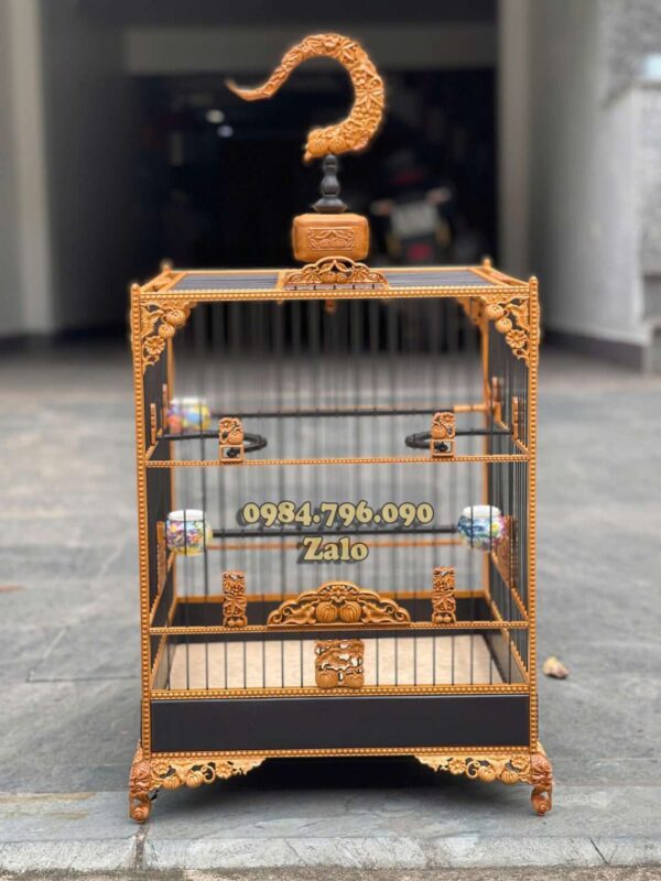 LỒNG CHIM CHÀO MÀO PHOM VUÔNG CAO – TÍCH HOA BÍ ĐỎ