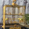 Anh dai dien 35