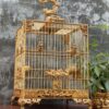 Anh dai dien 37