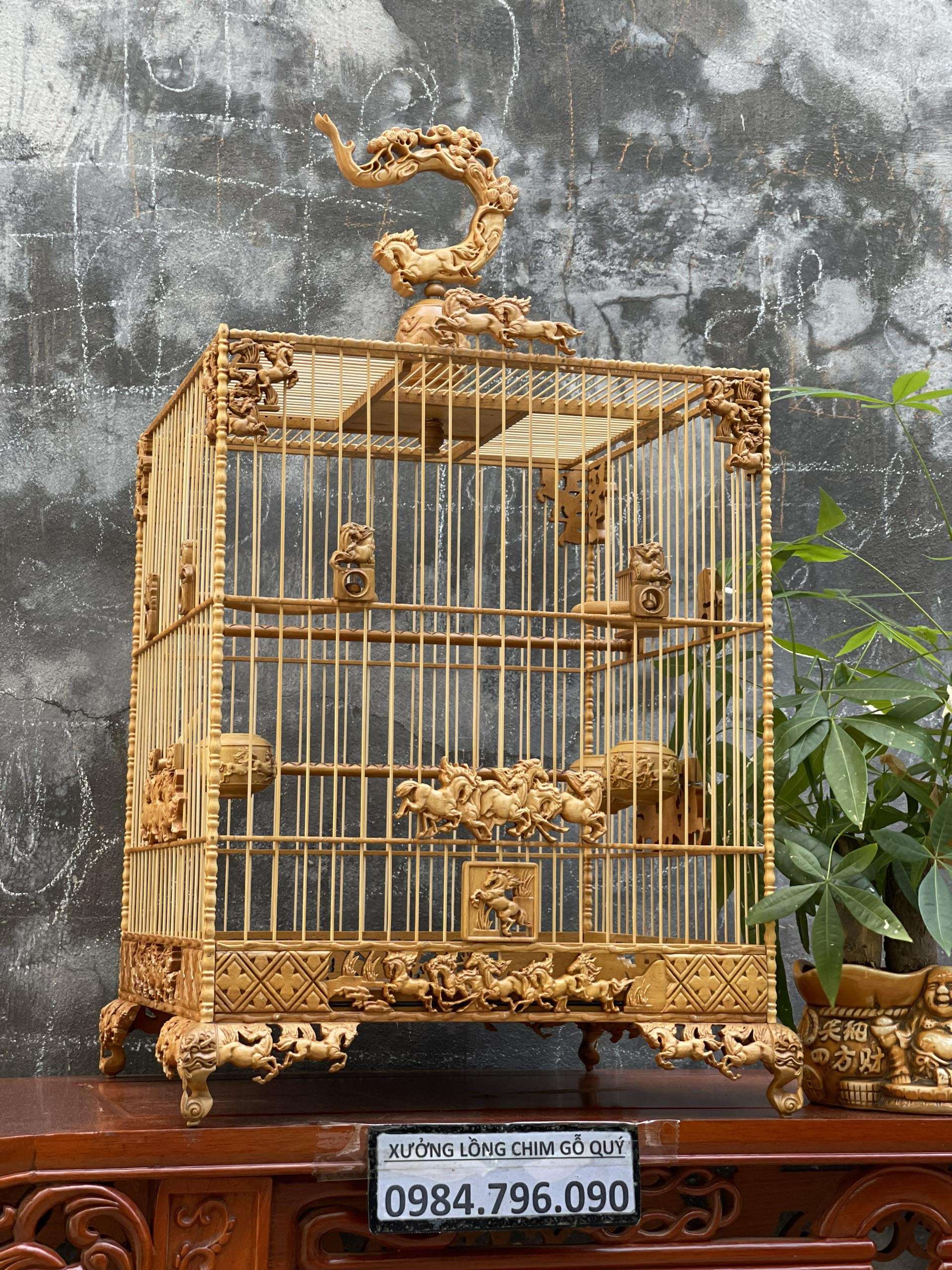Lồng chim chào mào phom vuông cao – tích mã đáo thành công 1 Anh dai dien 37
