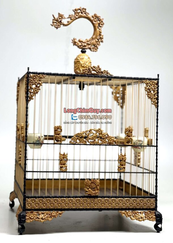 Lồng Chim Chào Mào Phom Vuông Đấu – Hoa Mai Hóa Rồng