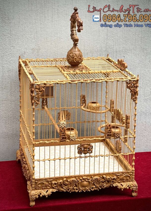 Lồng Chim Chào Mào Phom Vuông Đấu – Hoa Văn Tân Cổ Điển 9 z4313729021366 b3d9f09f9be8e28606a411837ea58da3 1152x1536 min