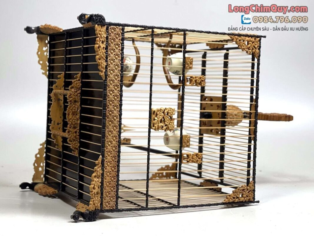 Lồng Chim Chào Mào Phom Vuông Đấu – Hoa Mai Hóa Rồng 16 Lồng Chim Chào Mào Phom Vuông Đấu – Hoa Mai Hóa Rồng