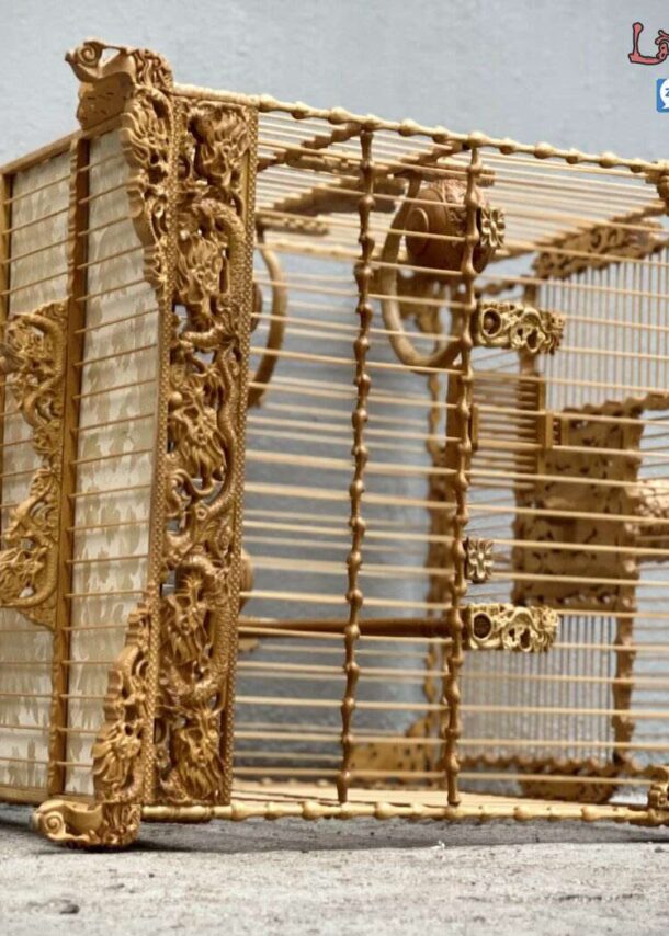 Lồng Chim Chào Mào Phom Vuông Đấu – Tích Ngũ Long Tranh Châu 9 z4313729118969 40a11e6211568ceedbf6d28d0a92b452 1536x1048 1