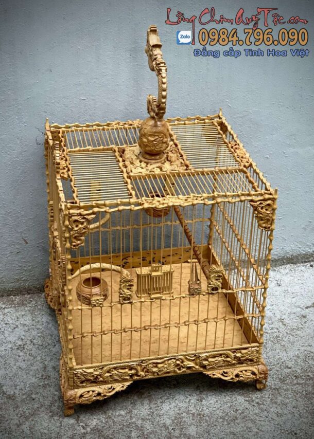 Lồng Chim Chào Mào Phom Vuông Đấu – Tích Ngũ Long Tranh Châu 10 z4313729123921 57d36a65e5c83a1e34157598a31bde5f 1152x1536 1