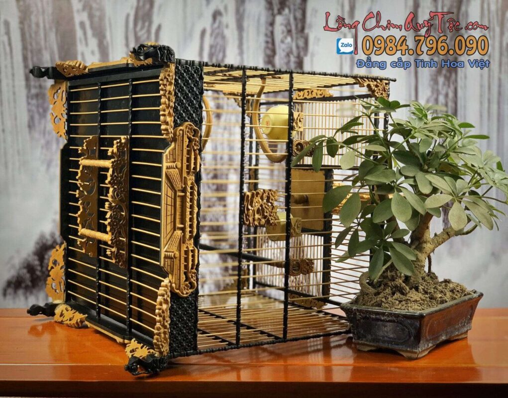 Lồng Chim Chào Mào Phom Vuông Đấu – Hoa Mai Cung Đình Huế Phiên Bản 2 Màu Gỗ Kết Hợp