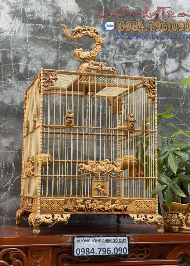 Lồng chim chào mào phom vuông cao – tích mã đáo thành công 5 z4322337186027 e4768f167e4ccac90bdd03405d7d8042