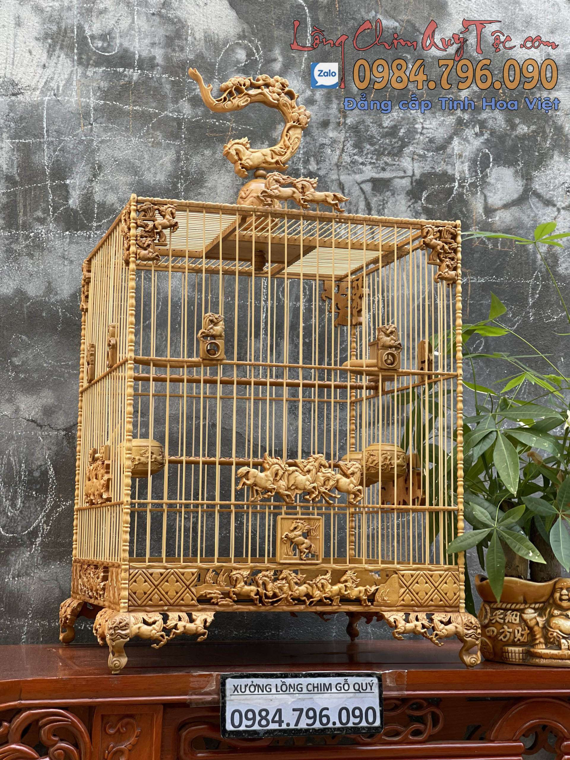 Lồng chim chào mào phom vuông cao – tích mã đáo thành công 2 z4322337186027 e4768f167e4ccac90bdd03405d7d8042