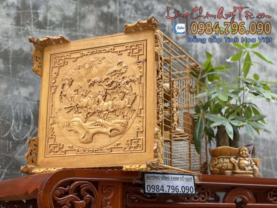 Lồng chim chào mào phom vuông cao – tích mã đáo thành công 10 LỒNG CHIM CHÀO MÀO PHOM VUÔNG CAO – TÍCH MÃ ĐÁO THÀNH CÔNG