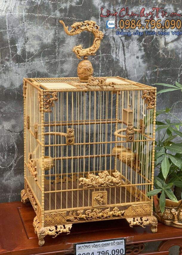 Lồng chim chào mào phom vuông cao – tích mã đáo thành công 7 z4322337192377 17b6e6fbc75861a488fada531334af53 1152x1536 1