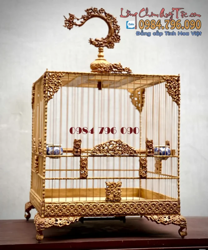 Lồng Chim Chào Mào Vuông Đấu Mai Hóa Rồng gỗ Cẩm Vàng indo 10 Góc chụp hơi nghiêng của lồng chim chào mào phom vuông đấu gỗ cẩm vàng indo nhập khẩu