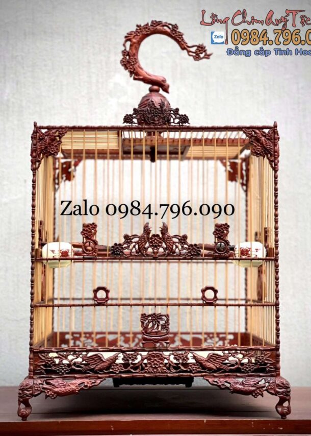 Lồng Chim Chào Mào Phom Vuông Đấu – Tích Chim Hoa Chào Mào Đấu 7 z5226097079295 7fc1e081be330d73916843bc40b9a99d 1302x1536 1