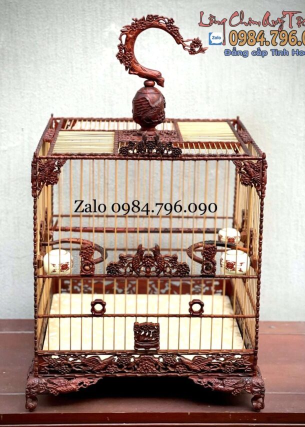 Lồng Chim Chào Mào Phom Vuông Đấu – Tích Chim Hoa Chào Mào Đấu 8 z5226097101449 f4d143ed5b3f5a530c598448841da2c5 1380x1536 1