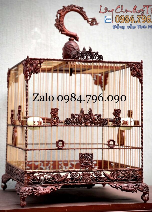 Lồng Chim Chào Mào Phom Vuông Đấu – Tích Chim Hoa Chào Mào Đấu 9 z5226097122760 a4a8ca3eefac0b912cfbcf9b061c3eaf min