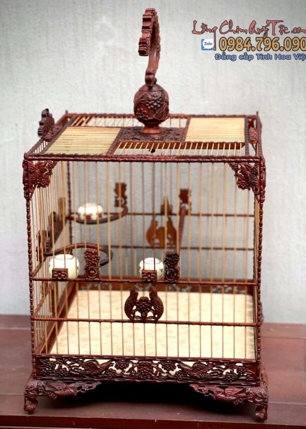 Lồng Chim Chào Mào Phom Vuông Đấu – Tích Chim Hoa Chào Mào Đấu 10 z5226097152787 0e6964ed11acaa3baa479e4d0742ed7e 1320x1536 1