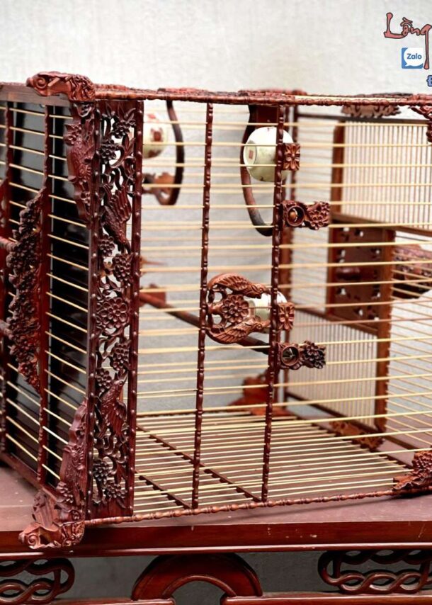 Lồng Chim Chào Mào Phom Vuông Đấu – Tích Chim Hoa Chào Mào Đấu 11 z5226097184833 6d1c649eb8708f5510275c6ac1734cd5 1536x1152 1