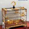 Lồng Lực Cho Chào Mào tích chạm Mã Đáo Thành Công 2 Màu Gỗ Quý 10 4 2 1