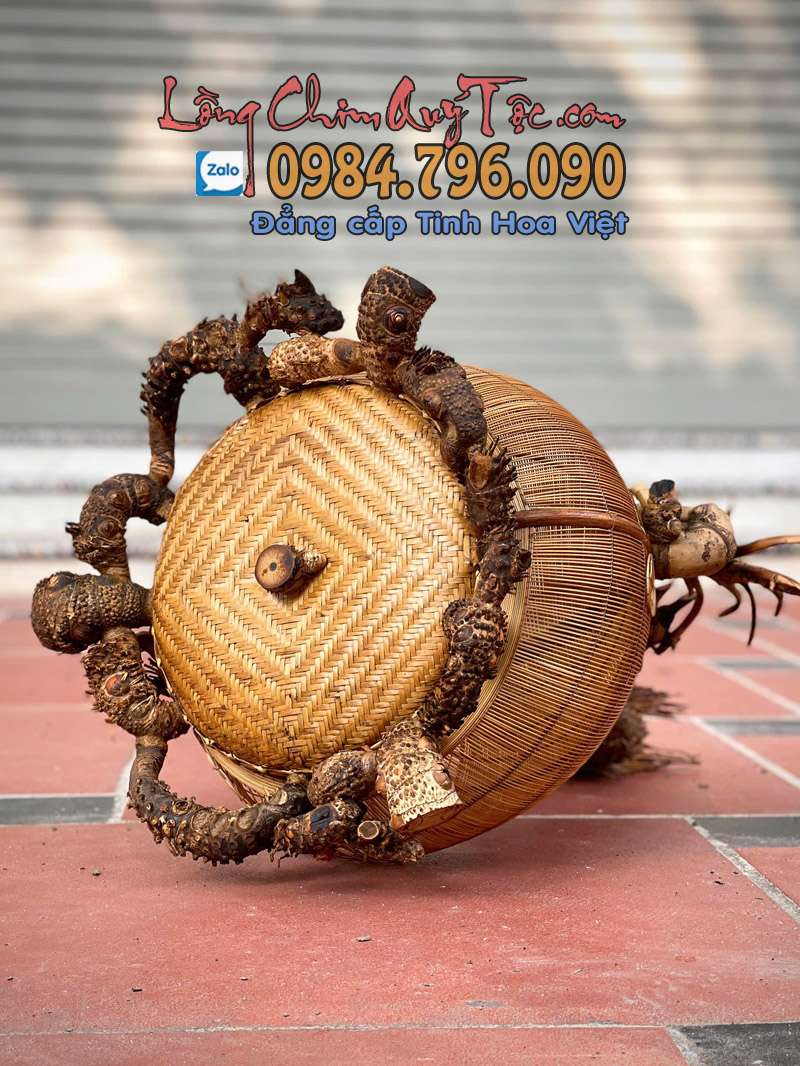 Lồng cu gáy gốc tre già đục Rồng Mã 12 2 6 2