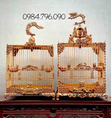 Chọn lồng chim chào mào chuẩn nhất cho người mới chơi