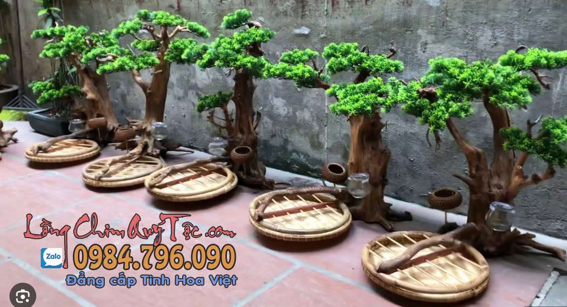 Khám phá các kiểu lồng trần cu gáy độc đáo dành cho dân chơi chim
