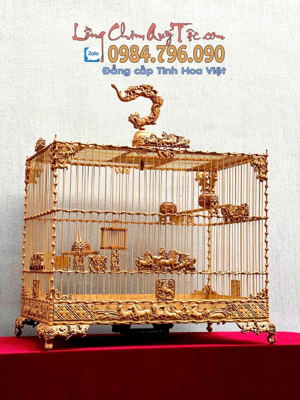 Lồng tập lực cho chào mào – Bí kíp nâng cao phong độ cho chim
