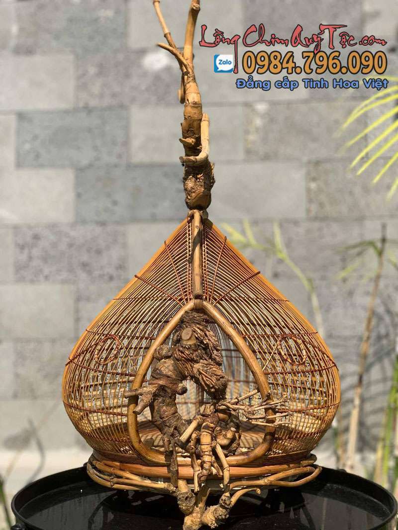 Mua lồng chim cu gáy Kinh nghiệm chọn đúng – chơi hay