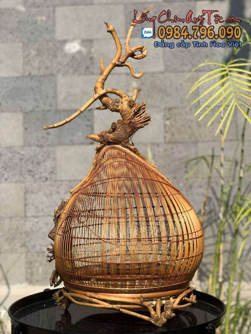 Chuồng chim cu gáy chuẩn – Yếu tố quyết định phong độ của chim