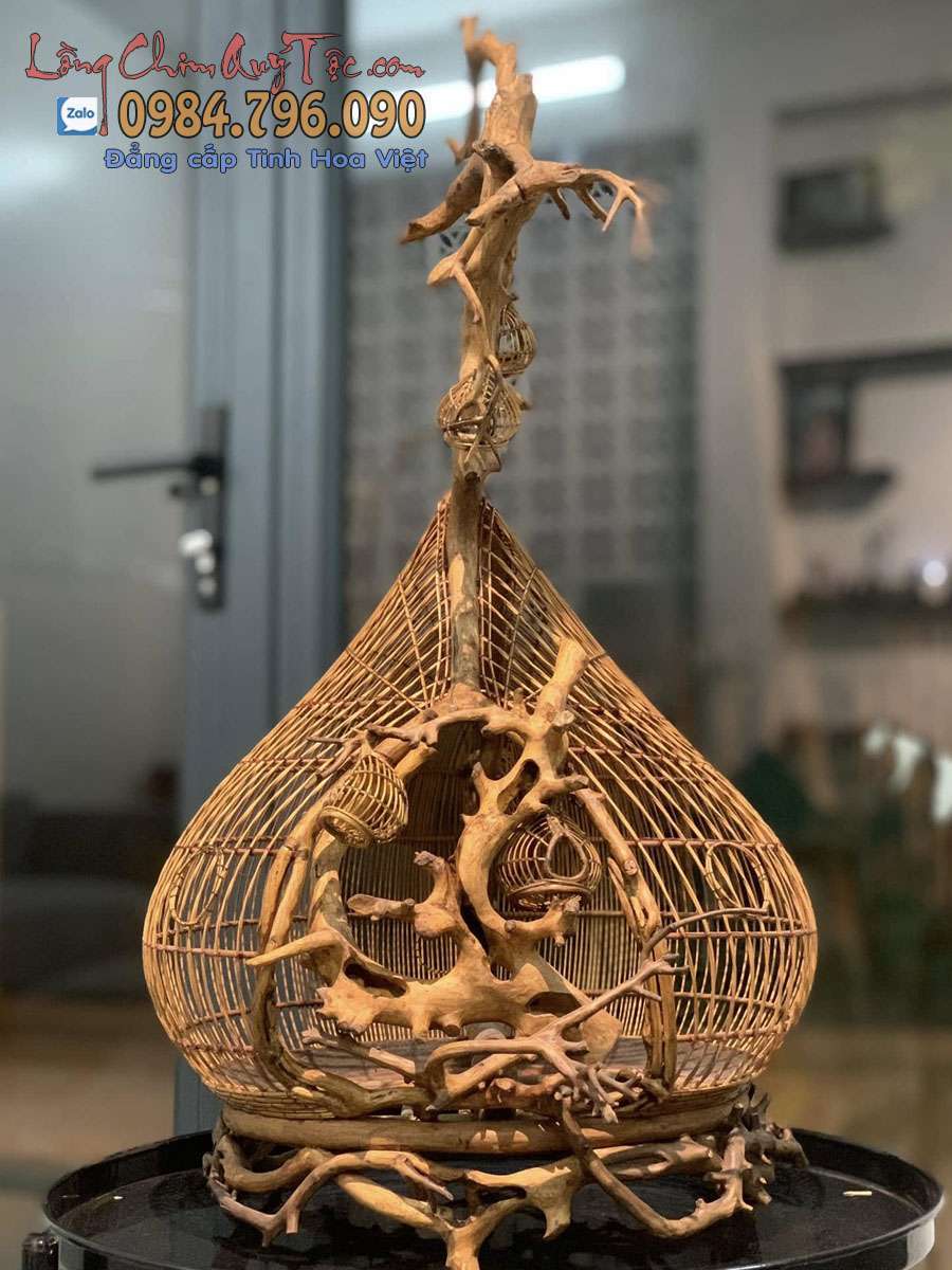 Điểm danh những mẫu lồng cu gáy đẹp giá rẻ mà chất lượng