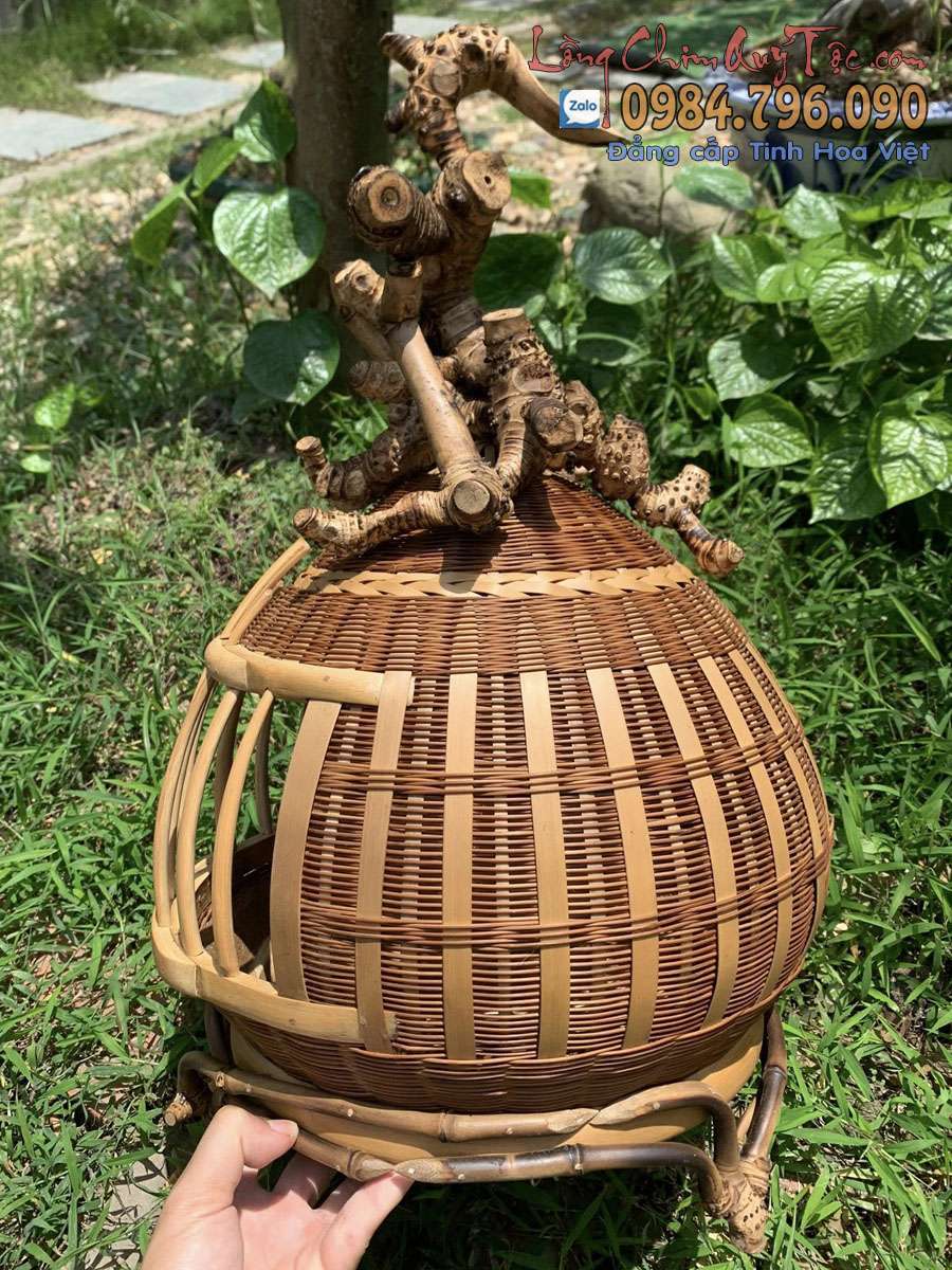 Giá lồng cu gáy bao nhiêu - Kinh nghiệm chọn mua lồng chuẩn