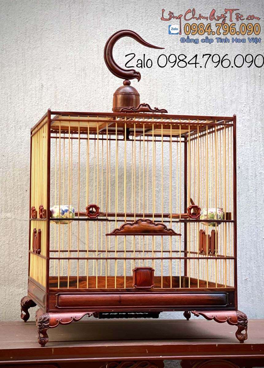 lồng chào mào